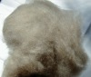 light grey cashmere fiber