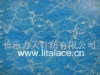 lita M5345 nylon lace fabric