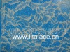lita M5358 nylon lace fabric