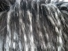 long hair plush fur