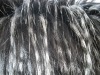 long hair plush fur