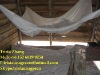 long lasting impregnated mosquito nets