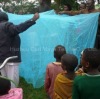 long lasting insecticide treated mosquito net /Government Procurement nets/Quadrate net