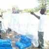 long lasting insecticide treated mosquito net against malaria hot selling in Africa