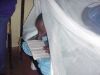 long_lating insecticide treated mosquito net