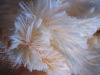 long pile blanket fabric