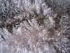 long pile fabric
