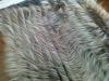 long pile fake fur/jacquard fake fur/fake fur