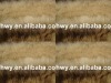 long pile faux fur fabric