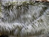 long pile faux fur for hats garments boots