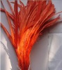 long saddle hackle feathers, tail feathers, roster feathers,