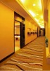 luxurious axminster carpets for hotel corridor