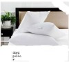 luxury Feather And Down Pillow And Cushion