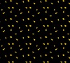 luxury KTV woollen wall to wall high end quality