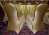 lycra Chair Cover