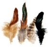 manufactory's direct sale raw cock feather