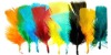 manufactory's direct sale raw turkey feather