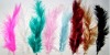 manufactory's direct sale raw turkey feather