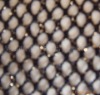 mesh fabric