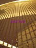 metal hollow beads curtain