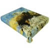 microfiber polyester blanket/mink blanket