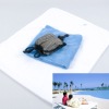 microfiber zipper pocket swimming towel