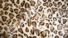 mink printed pv-plush velboa fabric for garment