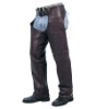motorbike chap