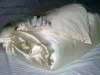 mulberry silk duvet,silk quilt,silk comforter,