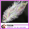multicolored ostrich feather