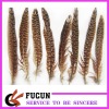 natural pheasant feather