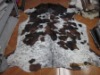 new Cow hair on hide with natural shape and color