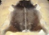 new GOAT SKIN COW HIDE COW HAIRON SHEEPSKIN FUR COW CARPET PATCHWORK RUG