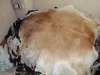 new GOAT SKIN COW HIDE COW HAIRON SHEEPSKIN FUR COW CARPET PATCHWORK RUG