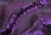 new design cheap polyester furnishing fabric