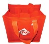 non woven carry bag