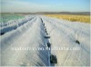 non-woven for Agricultur use