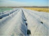 non woven for  Agriculture and Crop Protection