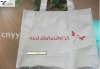 non woven pp / pet shopping bags / gift bags