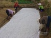 nonwoven fabric using Agriculture