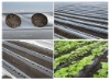 nonwoven plantcover