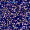 nylon fabric/underwear fabric