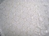 nylon lace fabric