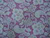 nylon lace fabric DL-1520