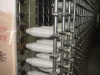 nylon yarn,monofilament-factory,AA grade.