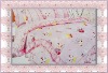 organic cotton quilt/printed summer silk quilt/Home Textiles