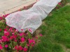 organic mulch