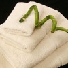 organic  towels