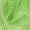 organza Fabric (Dyeing)