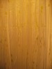 organza curtains/window curtain